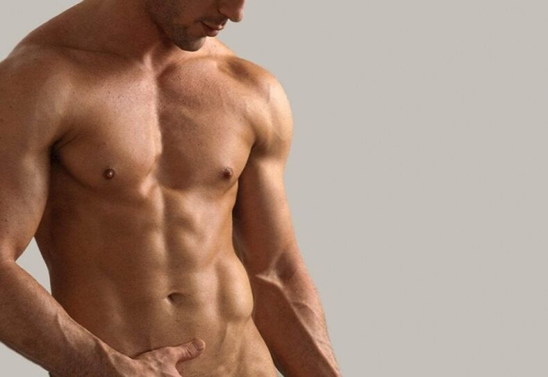 Male torso